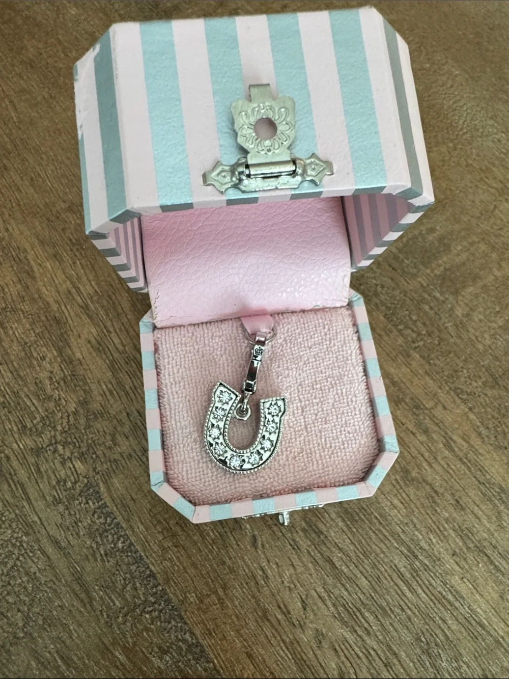 Juicy Couture Silver and Turquoise Horseshoe Charm